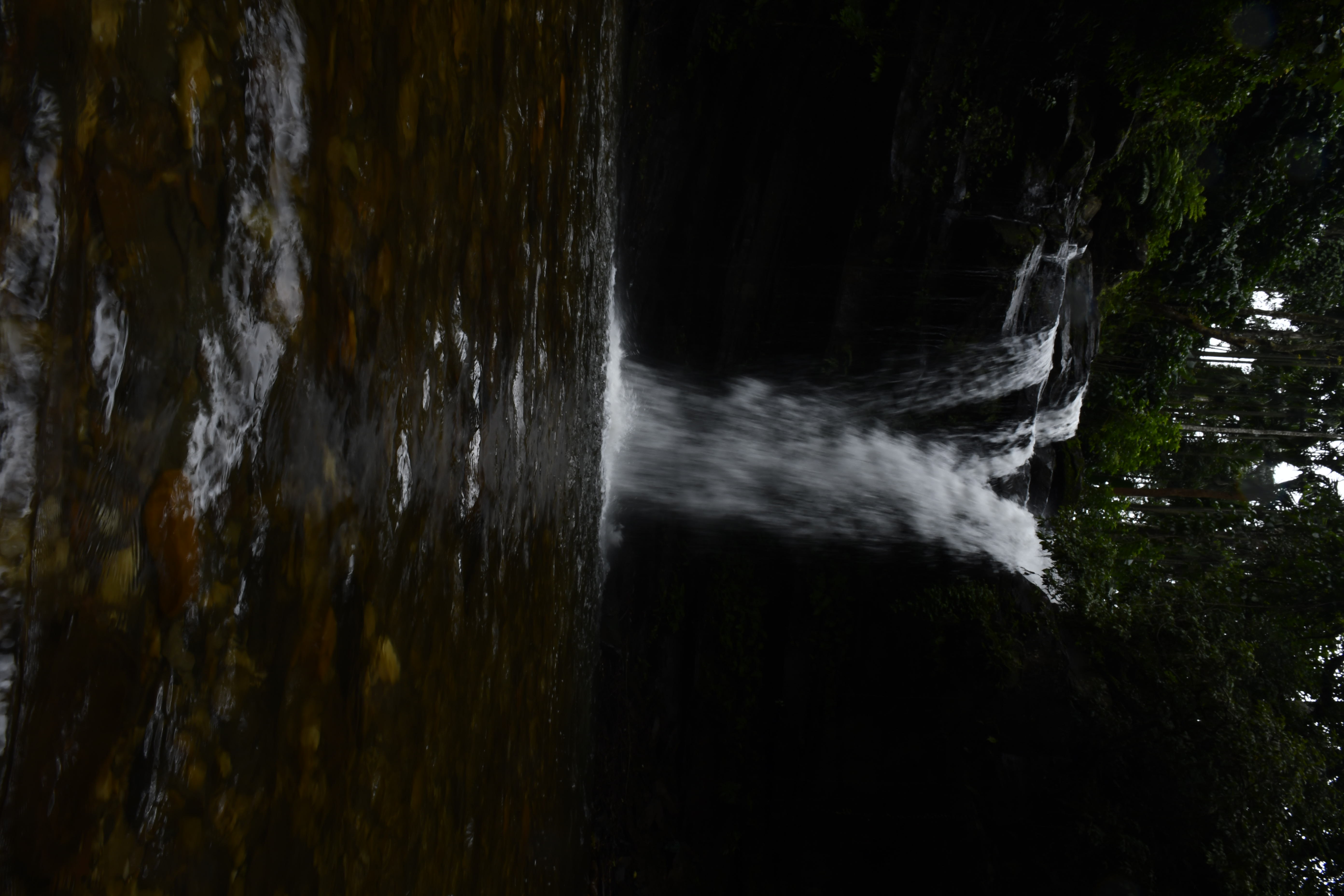 Abbi Falls near Nooji Homestay
